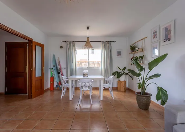 Casiopea 科拉雷侯