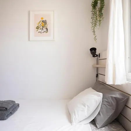 فيلة Casiopea كوراليهو