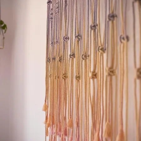 Casiopea فيلة كوراليهو