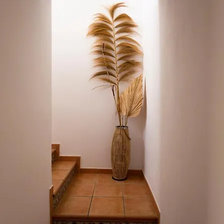 Casiopea Villa